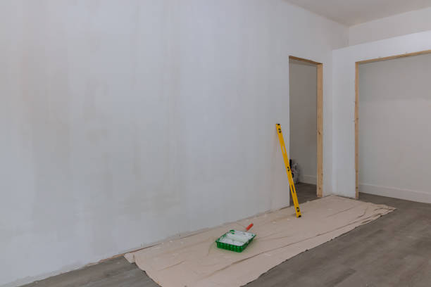 Best Black Mold Removal  in Globe, AZ