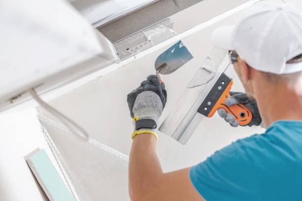 Best Attic Mold Removal  in Globe, AZ